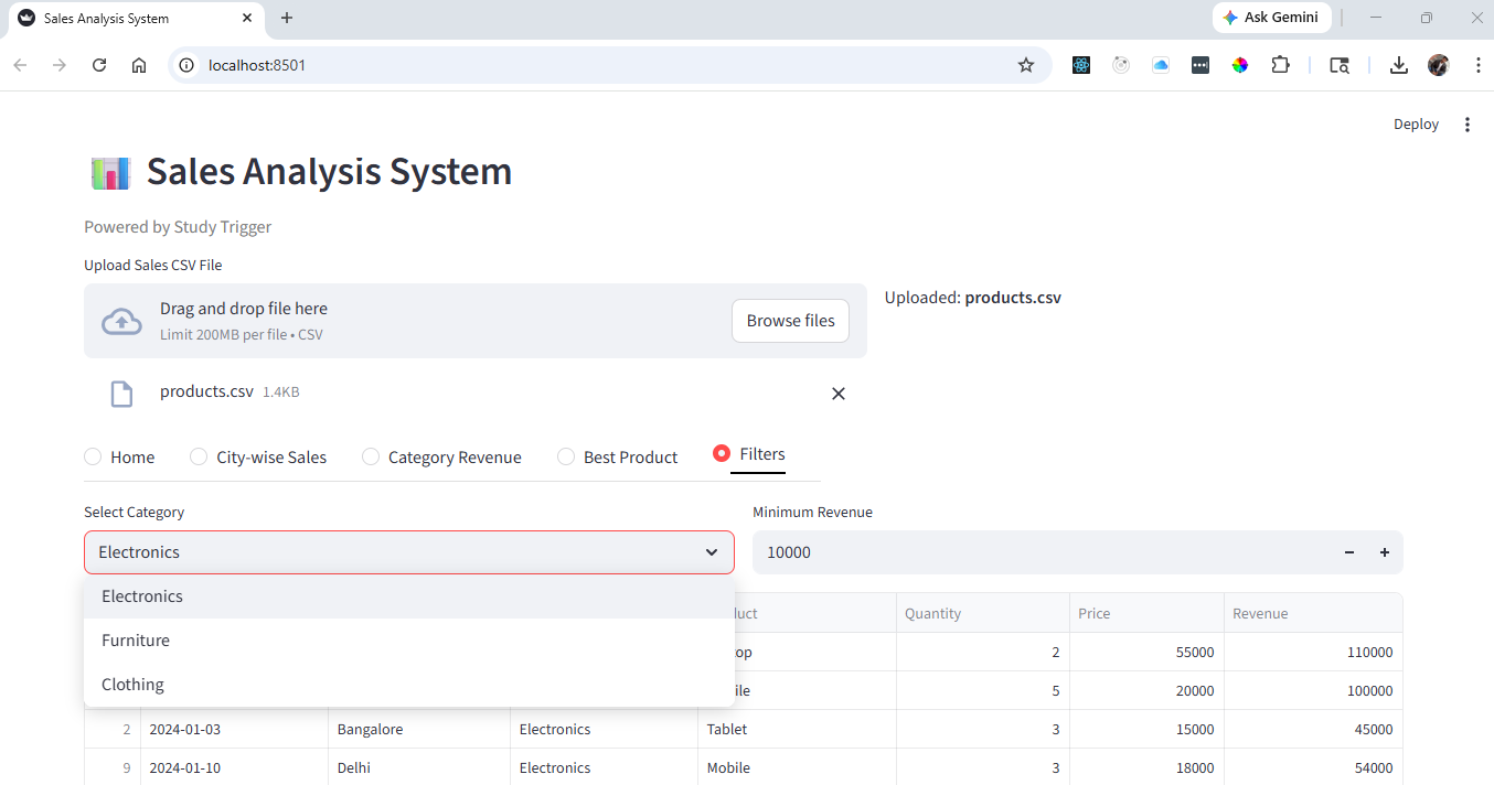 Filters in Sales Analysist Project